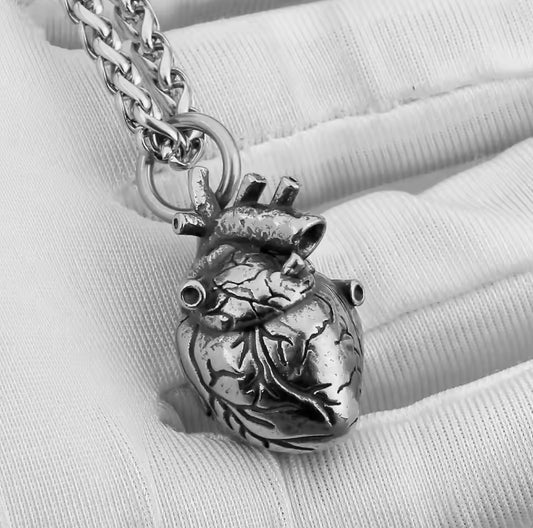 Anatomical Heart Long Chain Necklace